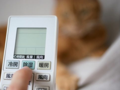 エアコンとペット